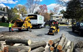 Best Tree Risk Assessment  in Oxnard, CA