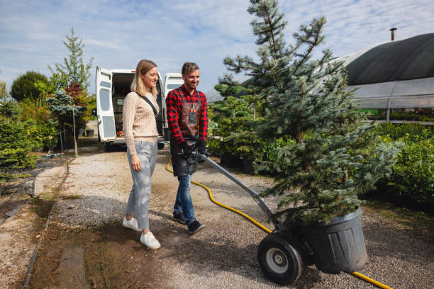 Best Tree and Shrub Care  in Oxnard, CA